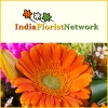 Send Valentine’s Day Gifts and flowers to all over India